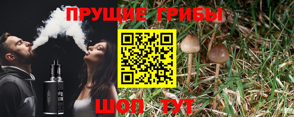 Псилоцибиновые грибы GOLDEN TEACHER  Псилоцибиновые грибы Magic Shrooms  Славгород  Вход с VPN 