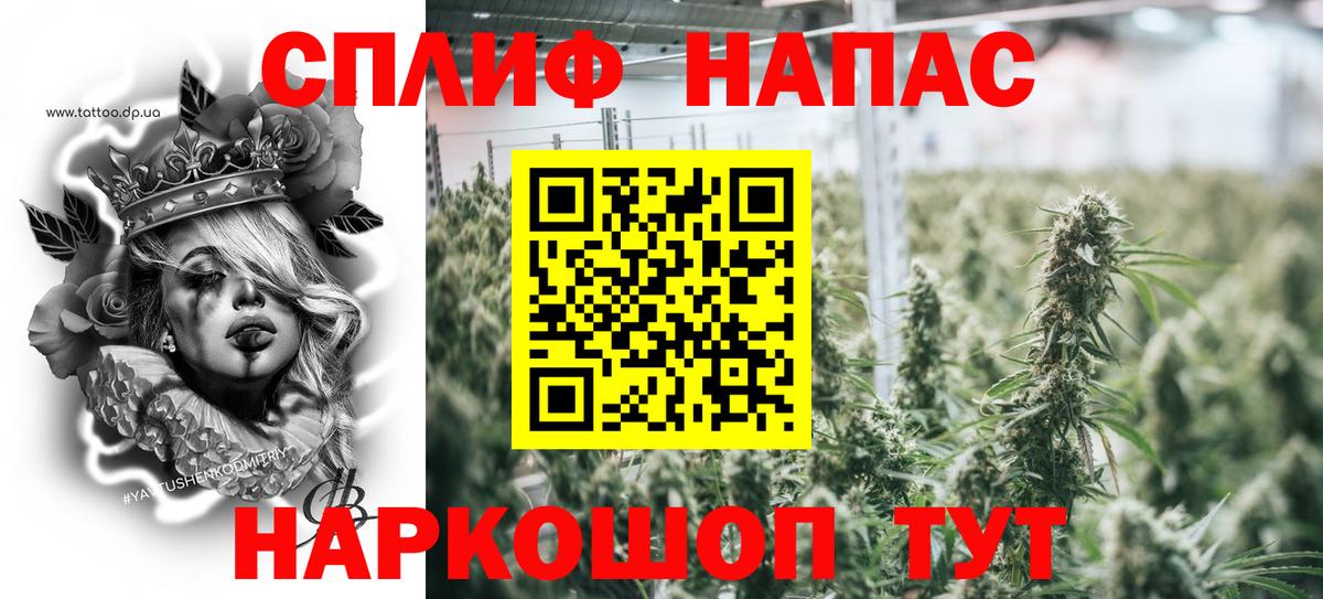 Славгород  Бошки марихуана тримм  Вход с VPN  Бошки Шишки Bruce Banner  Бошки марихуана план  Каннабис AK-47 
